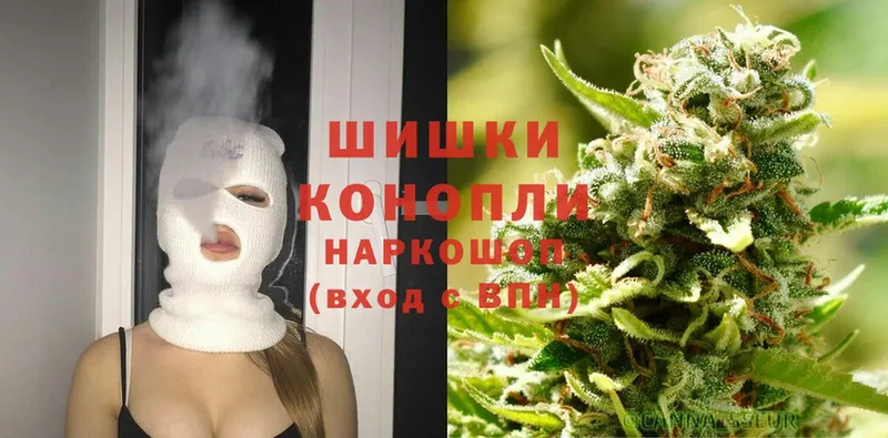 наркотики  площадка телеграм  Конопля Ganja  Ветлуга 